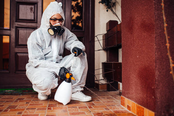 Attic and Crawl Space Rodent Treatment in Okauchee Lake