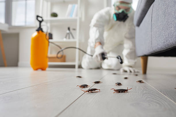 Commercial Rodent Management in Okauchee Lake